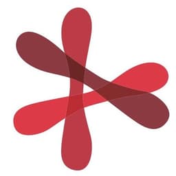 ITC Médula Ósea